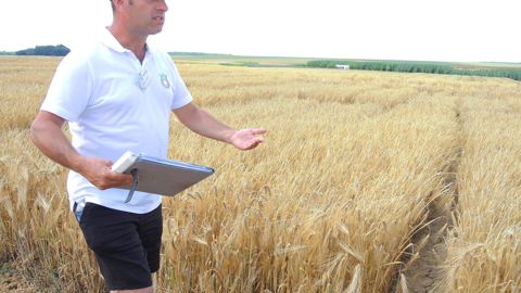 « Openfield est à disposition aussi bien de la distribution agricole que de notre force commerciale », présente Olivier Descroizette, directeur technique Innovation chez Bioline by InVivo. © R. FOURREAUX